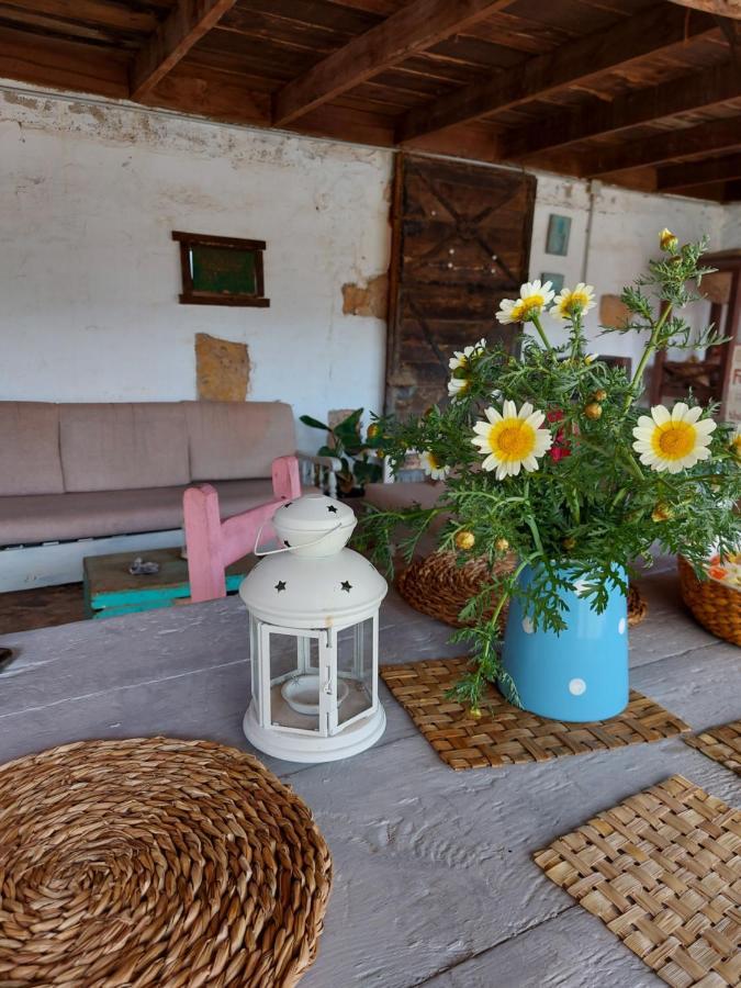 شقة Casa Elsa بويرتو ديل روزاريو المظهر الخارجي الصورة
